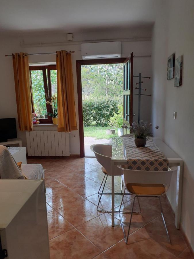 Apartman Dani Drazice Kültér fotó